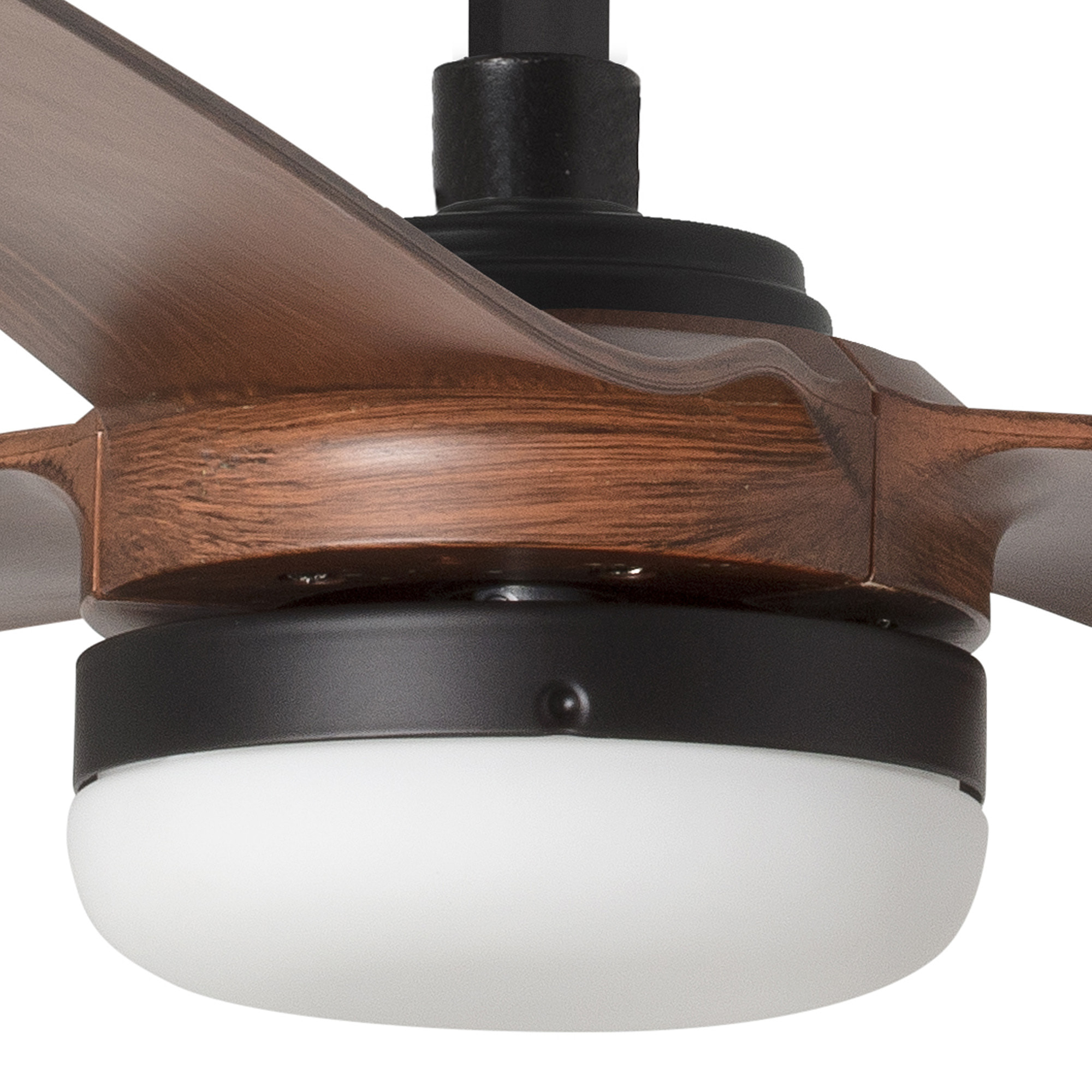 PUNT M LED Ventilador negro/madera oscura DC