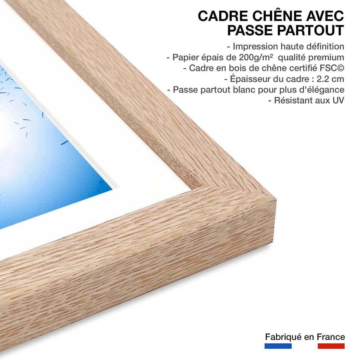 Affiche poisson Carangue Affiche + cadre en bois - Chêne