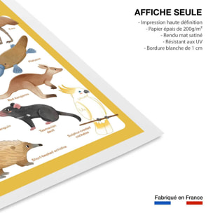 Affiche enfant animaux d' australie  Affiche seule