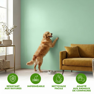 Rouleau adhésif décoratif Vinyle au Mètre - Menthe - Sticker Lavable Imperméable Mur Cuisine Meubles