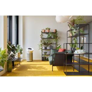 Purificateur Dyson Big+Quiet BP02