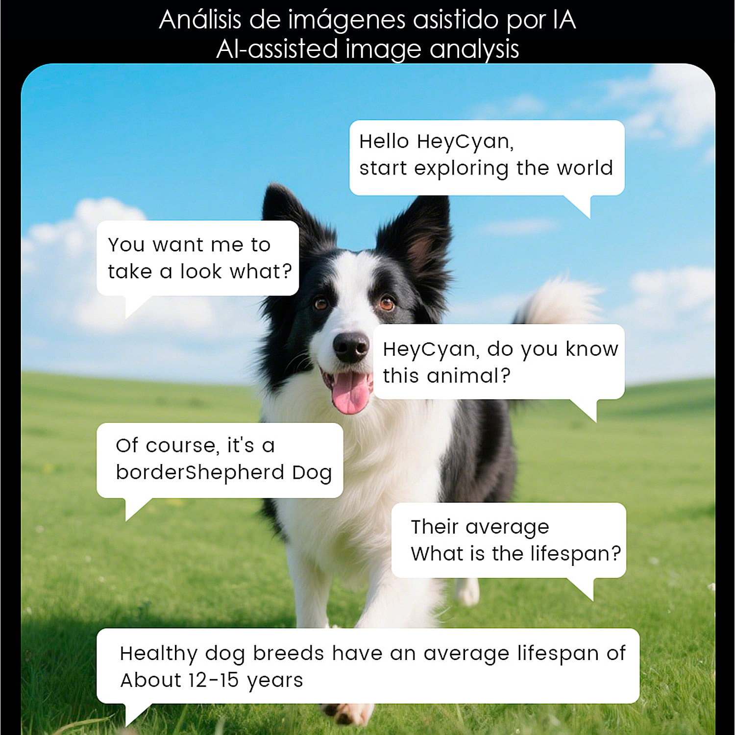 Occhiali intelligenti E2. Con fotocamera da 8MPX, video in 1080p, traduttore AI in tempo reale e controllo di musica/chiamate. Con lenti scure e trasparenti.