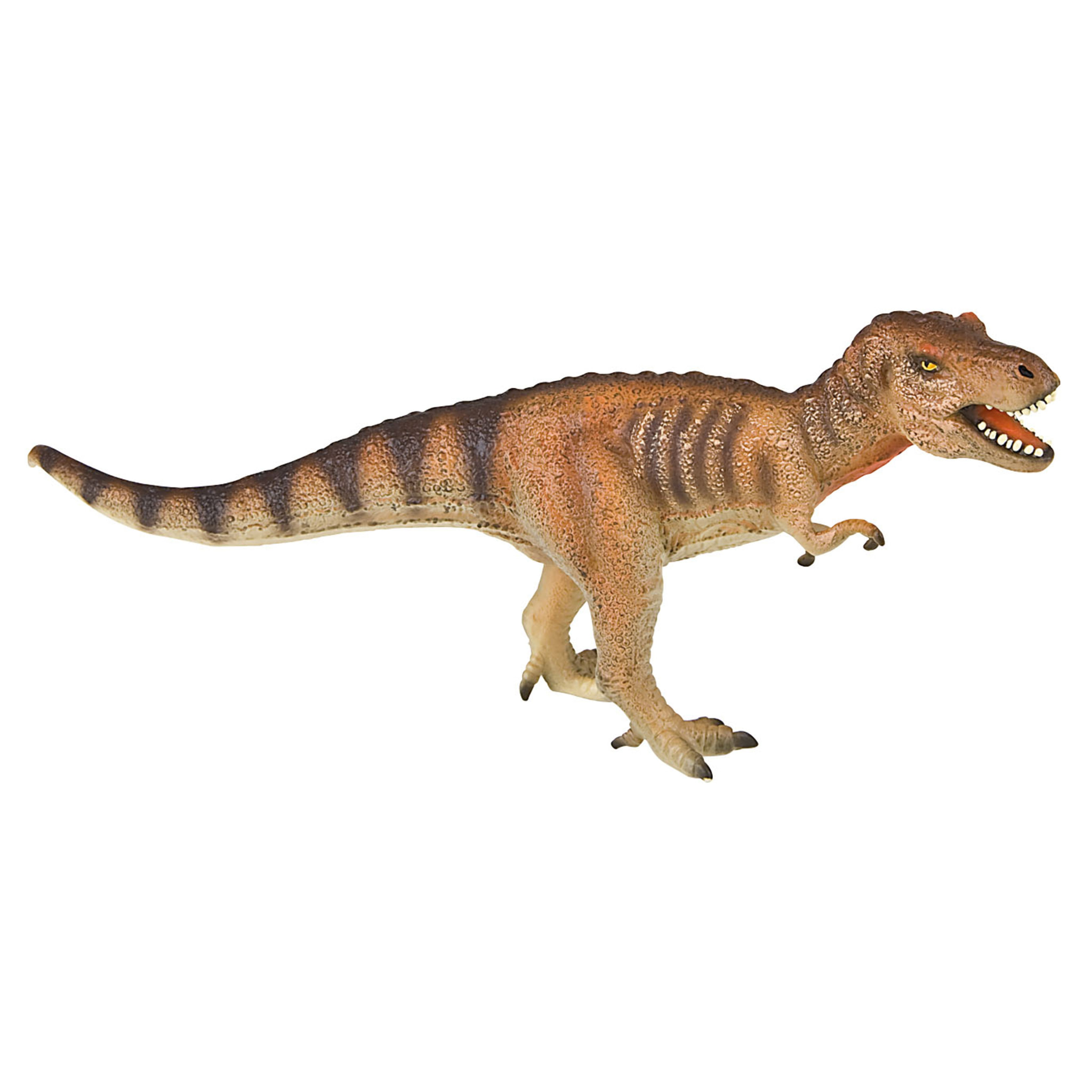 Dinosauri/Tirannosauro Linea Museo Naturale