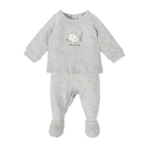 JESUSITO GRIS - Gris