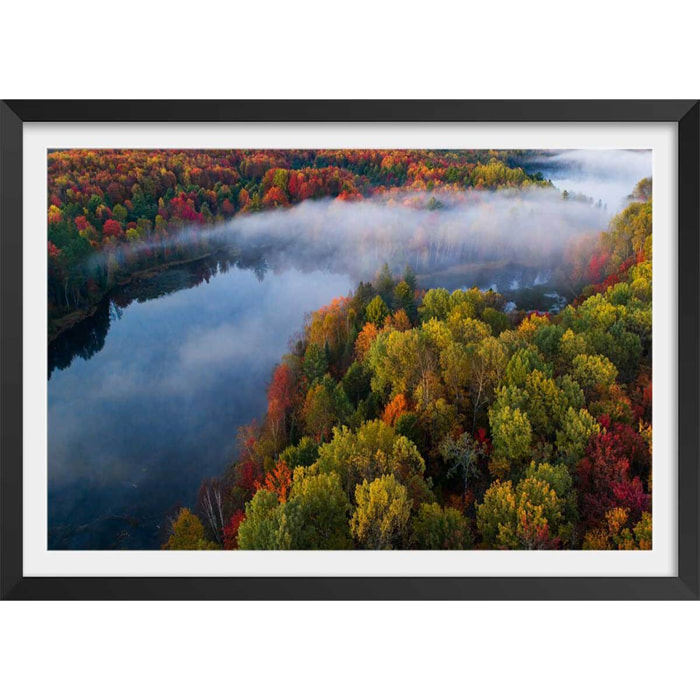 Affiche forêt et symphonie d'automne Affiche + cadre en bois - Noir