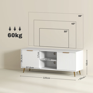 Mueble de TV Moderno Mueble de TV para Salón con 2 Compartimentos Abiertos y 2 Puertas Mueble para Televisión de 55 Pulgadas 120x35x48 cm Blanco