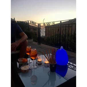 Lampe sans fil LIBERTY RGB H24CM