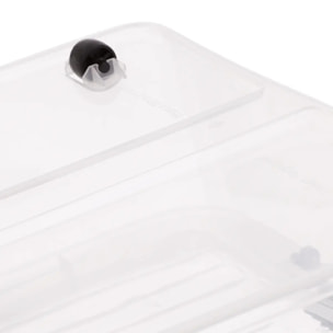 Boîte en plastique transparente 50L Clip N' Box