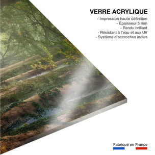 Tableau paysage sur le chemin Tableau plexiglas