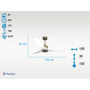 Ventilateur de plafond Réversible  Thermostat Wifi Moteur à courant continu Toits en pente Télécommande Hypersilence Mémoire