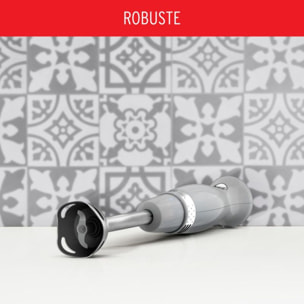 Mixeur MOULINEX soleil pepper DD471E10