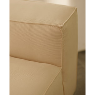 Fauteuil en velours côtelé couleur beige de 110x90cm Hauteur: 70 Longueur: 110 Largeur: 90
