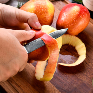 Set de cuchillos de cocina 8 en 1 estilo Damasco con diseño elegante y mango de madera negra con extremos de acero.