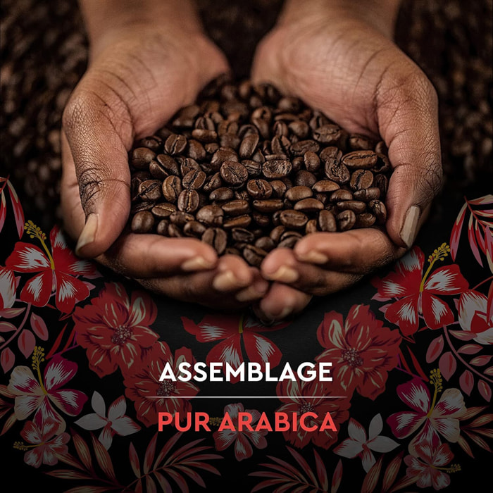 Café Grains Honduras Bio 1 KG