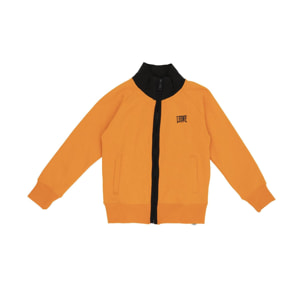 Felpa a collo alto Leone bambino con zip intera Basic