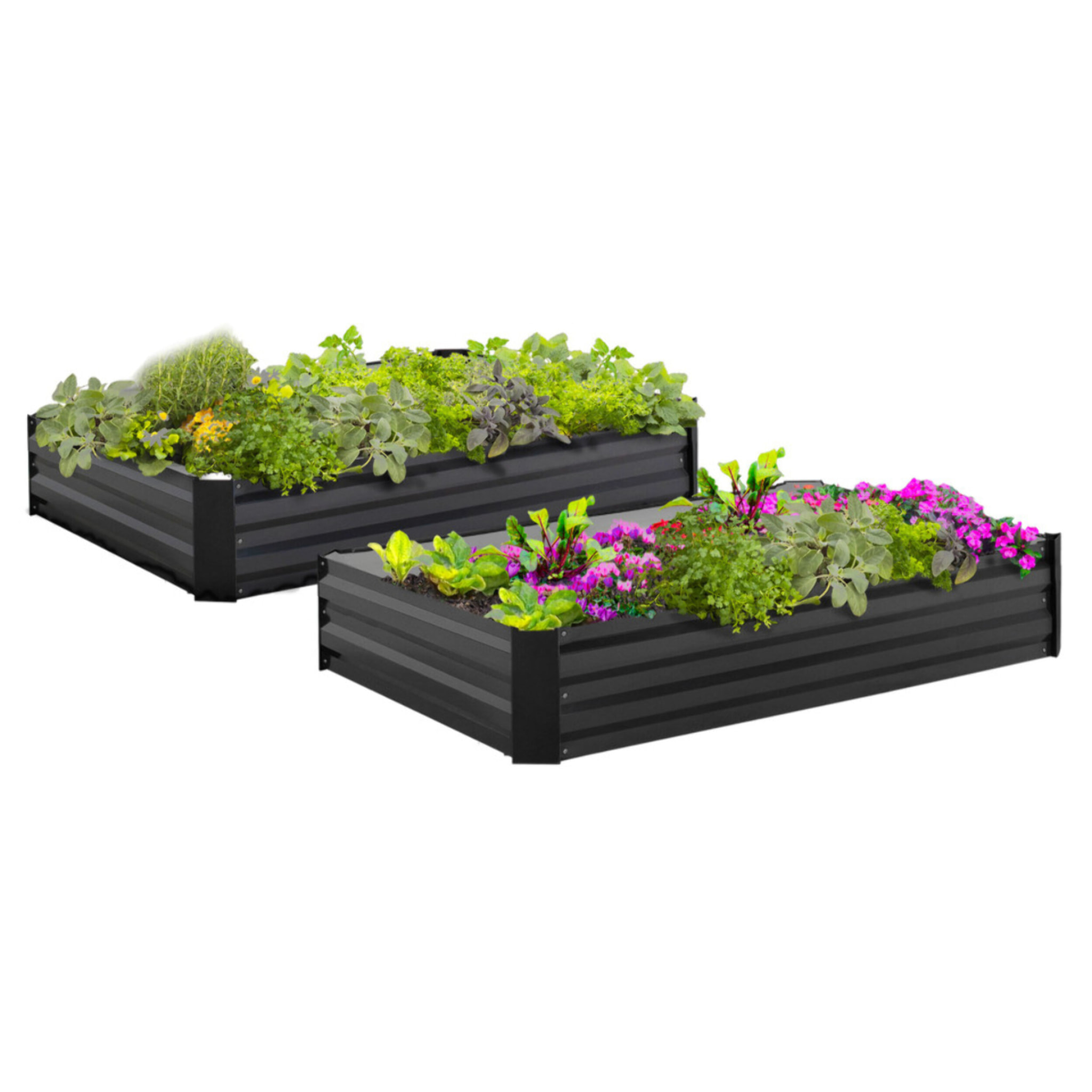 Carrés de potager en métal 115x80x20cm - lot de 2