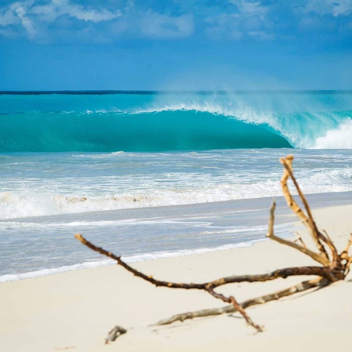 Tableau moderne plage de sable blanc Tableau alu Dibond