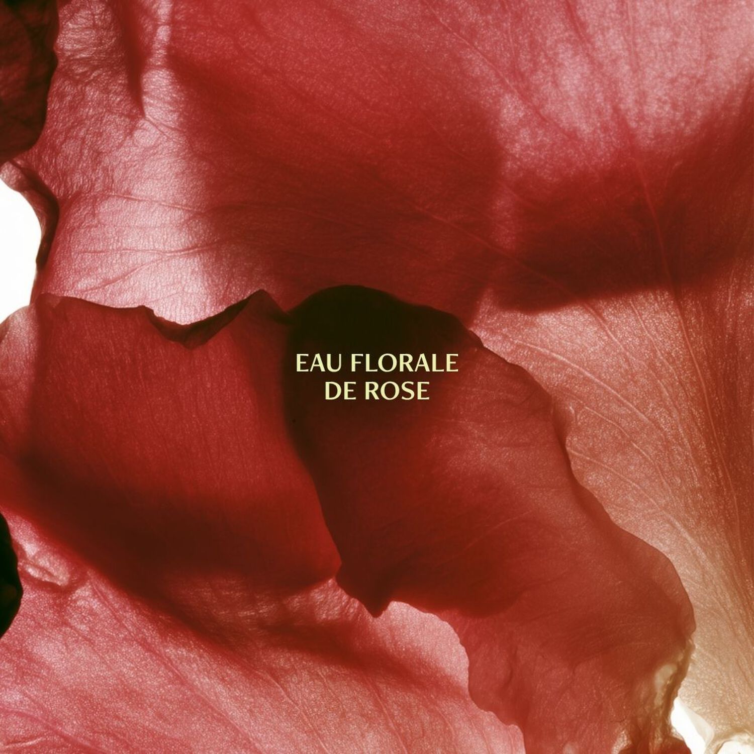 Eau Florale de Rose Ancienne - Hydrate & Tonifie