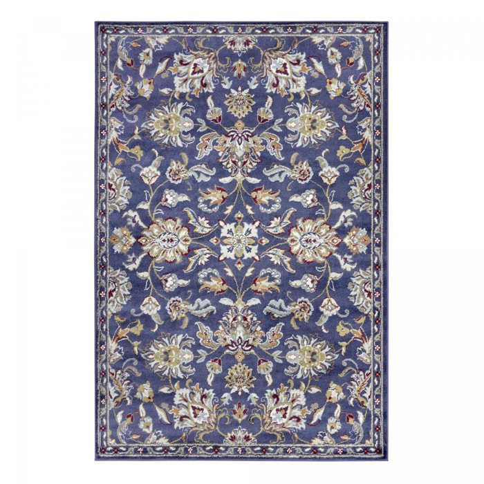 Tapis salon Rectangulaire Oriental