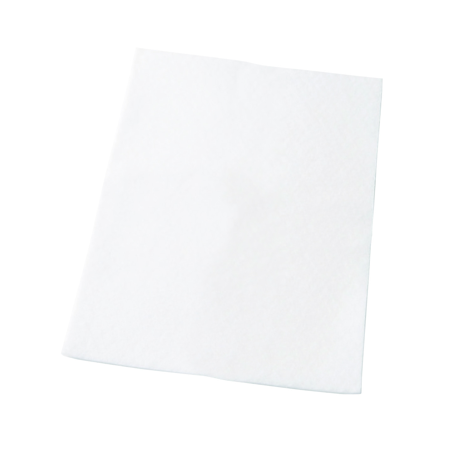 AEG Filtro de aspiradora AEF54