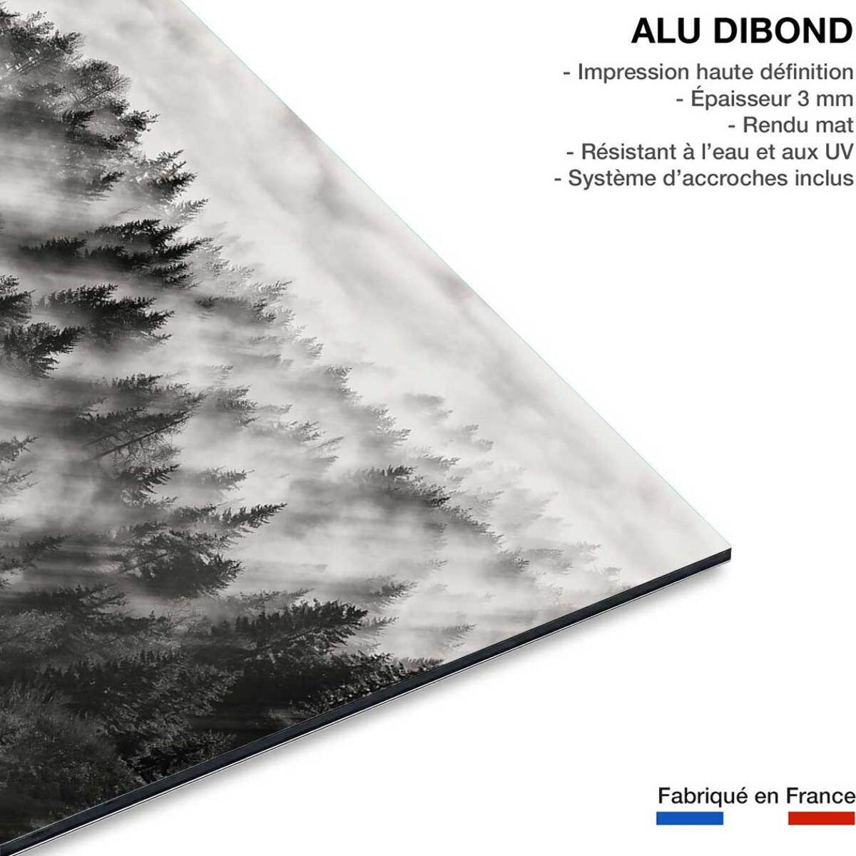 Tableau rayons de lumière Tableau alu Dibond