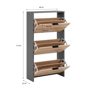 Zapatero de 3 puertas abatibles en gris grafito y alpine oak 60x113 cm Remi Gris Grafito - Alpine Oak