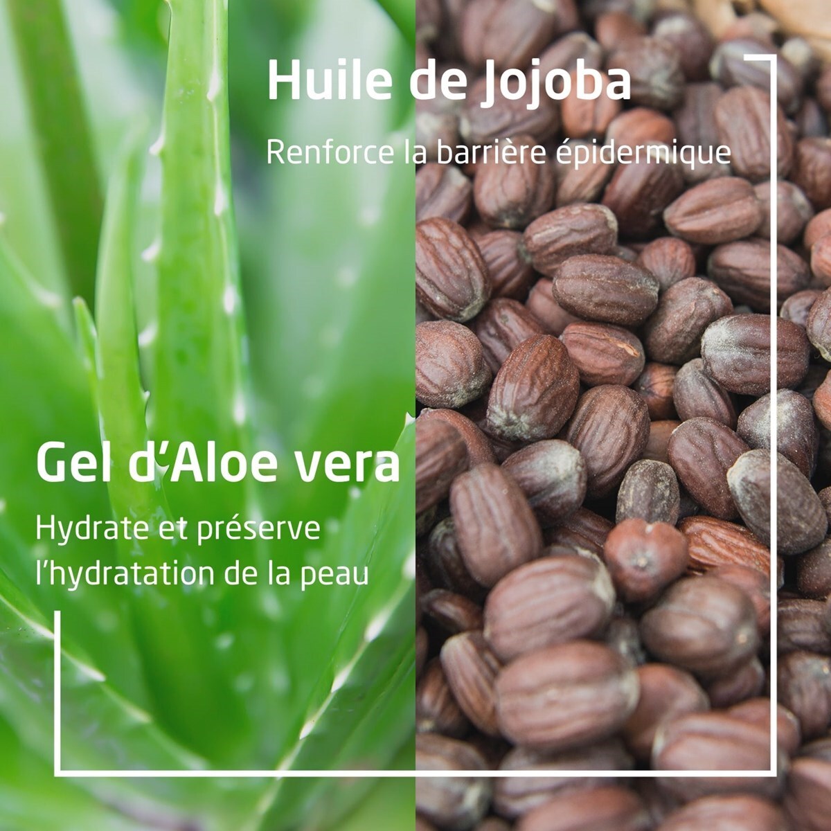 WELEDA - DUO rituel visage homme - Crème à raser  + Baume après rasage - Peaux sensibles - Certifié Natrue** - Tube 75 ml et flacon 100ml