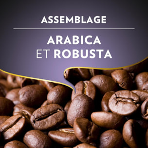 Café Moulu Espresso Barista Intenso 2x250g