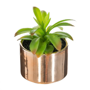 Plante verte pot céramique H.15