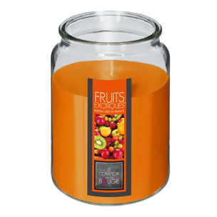 Bougie parfumée - fruits exotiques - 510g