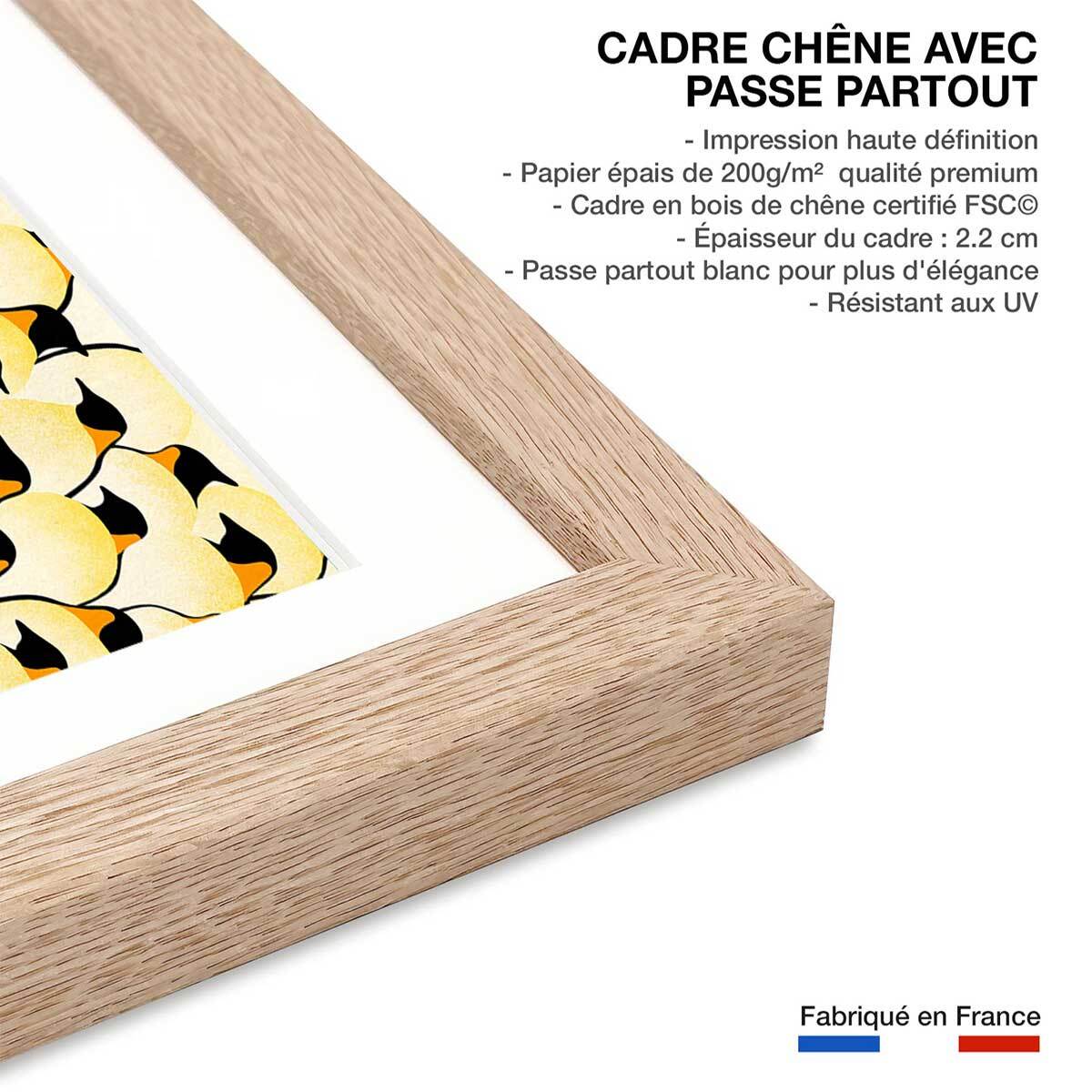 Affiche enfant pingouins  Affiche sous cadre bois