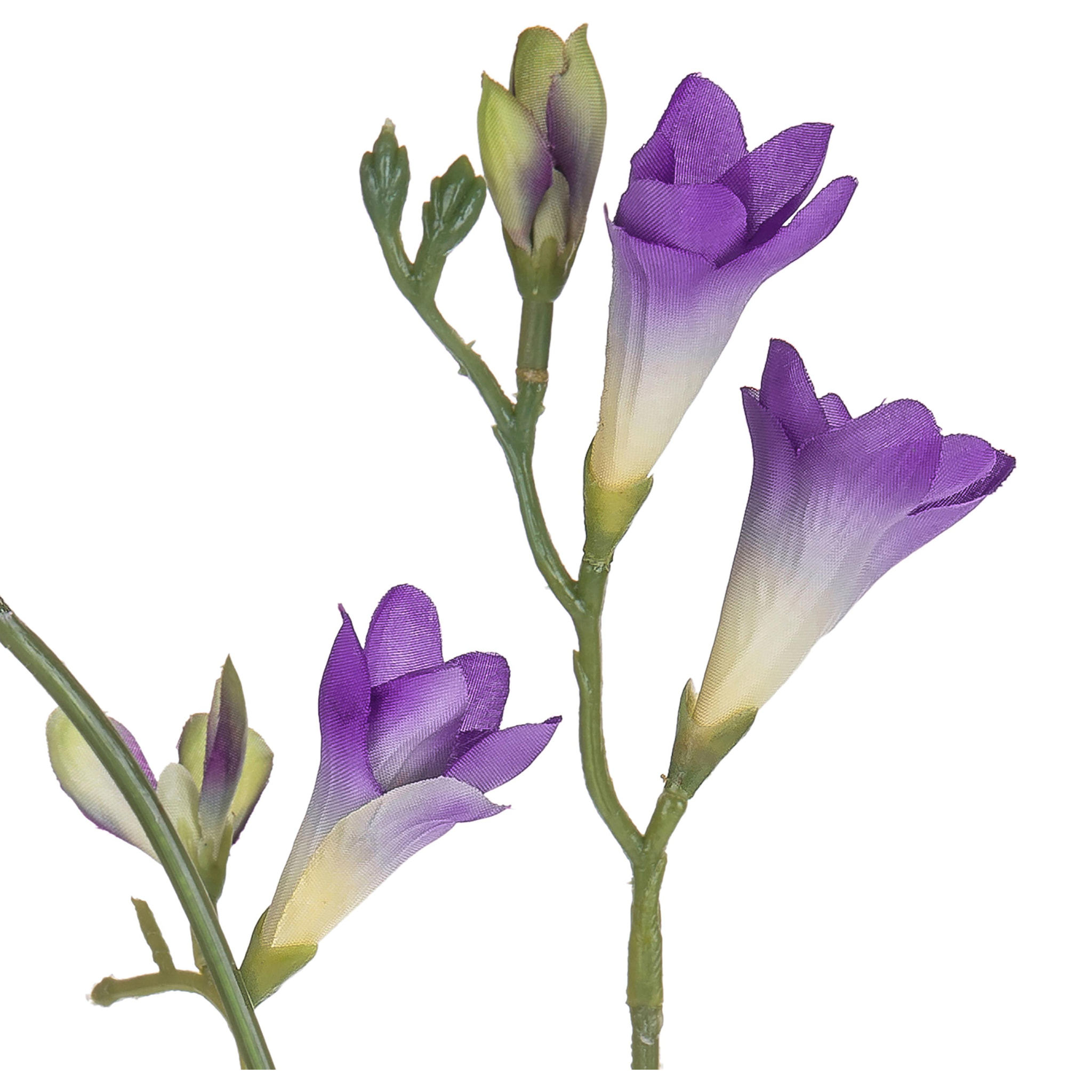 Fresia Composta Da 2 Fiori. Altezza 58 Cm - Pezzi 12 - 10X69X3cm - Colore: Viola - Bianchi Dino - Fiori Artificiali