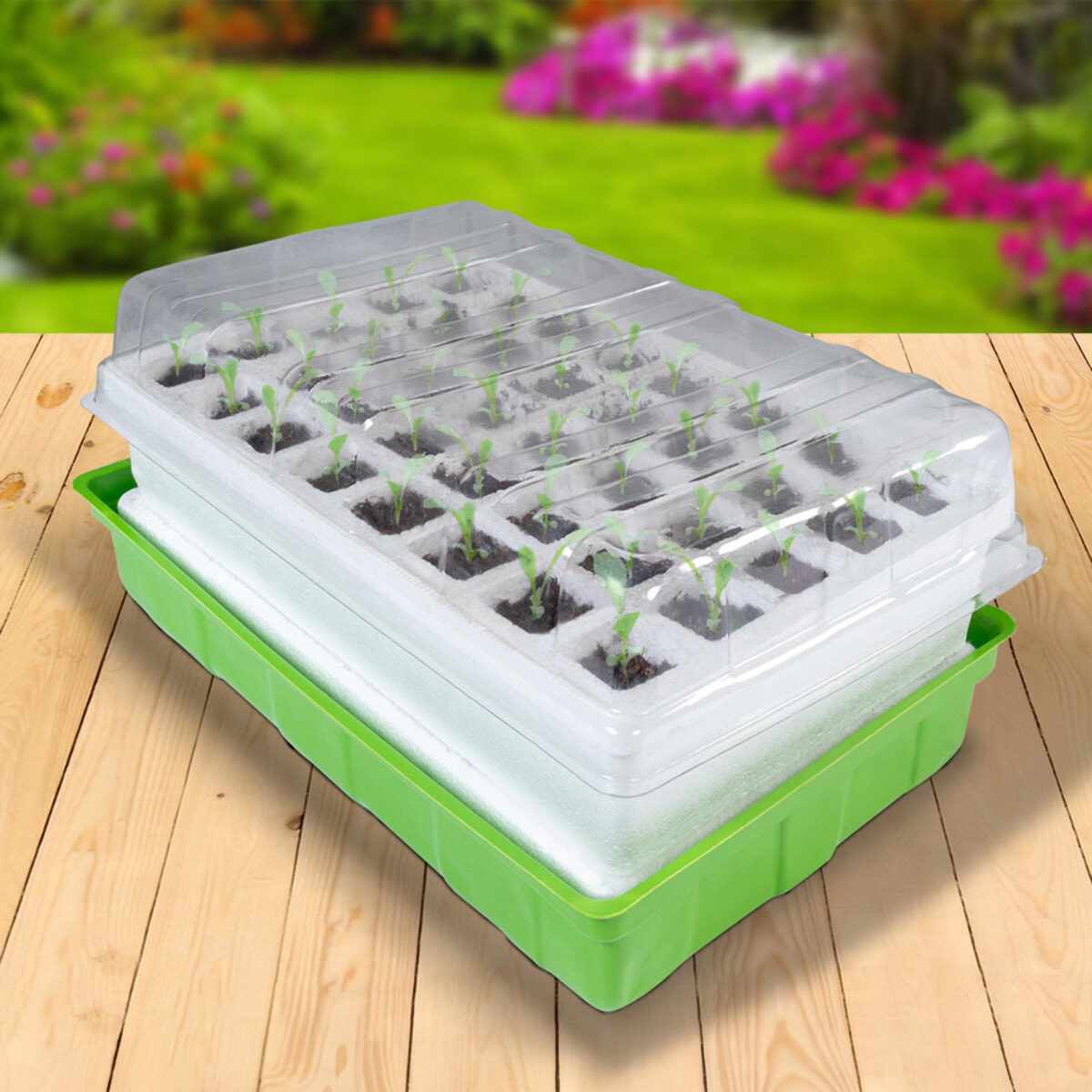 Kits de germination 40 godets accélérateurs de croissance - Lot de 2