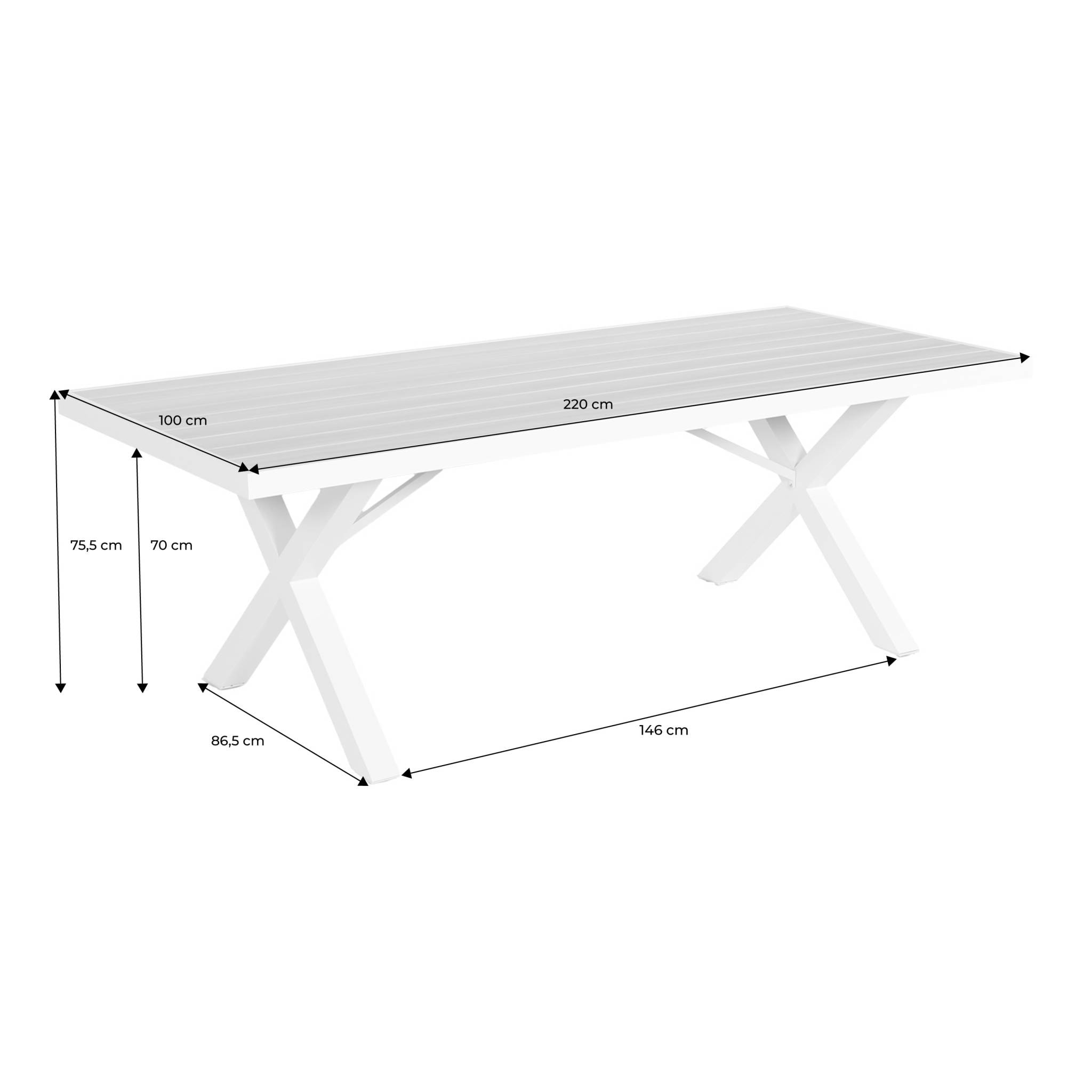 Table de jardin aluminium 8 places ELINA