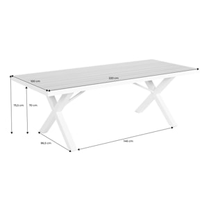 Table de jardin aluminium 8 places ELINA