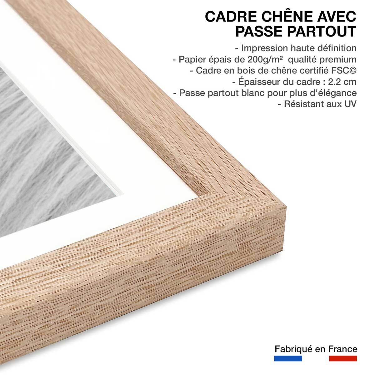Poster cheval blanc d' islande Affiche sous cadre bois