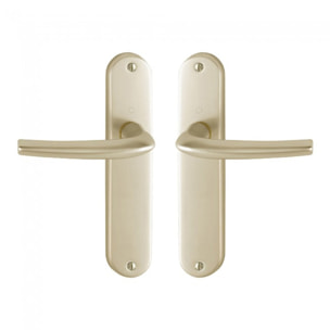 Ensemble de porte San Diego 1191/347 HOPPE Alu Champagne F2 - Bec de cane - 3230303