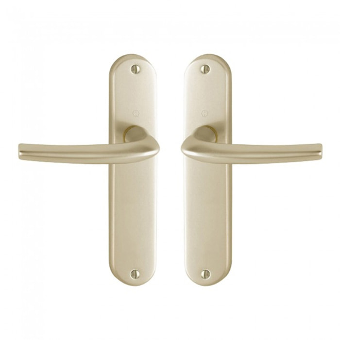 Ensemble de porte San Diego 1191/347 HOPPE Alu Champagne F2 - Bec de cane - 3230303