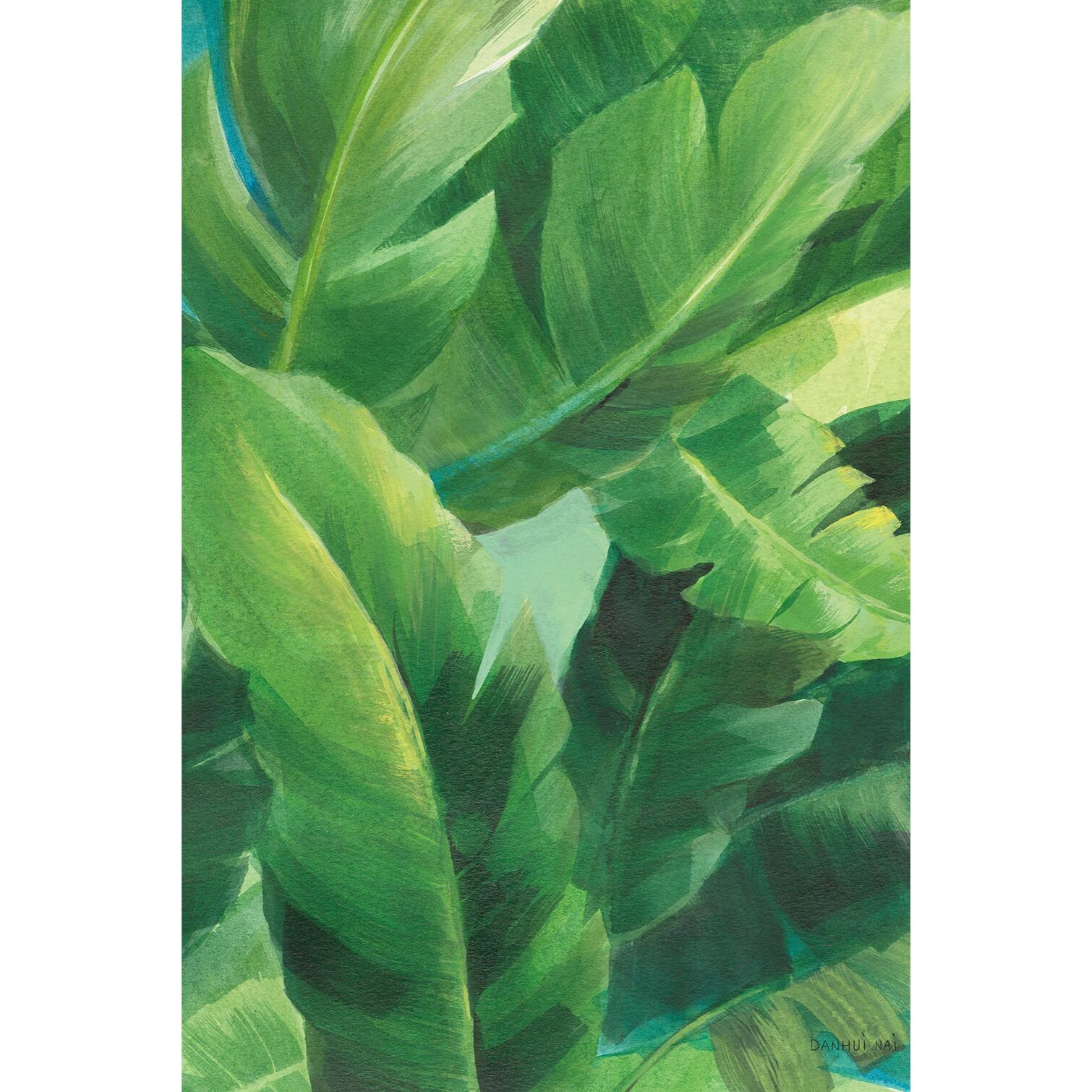 Tableau botanique palmier palmiers des tropiques ii  Tableau alu Dibond