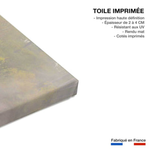 Tableau oies sauvages Toile imprimée