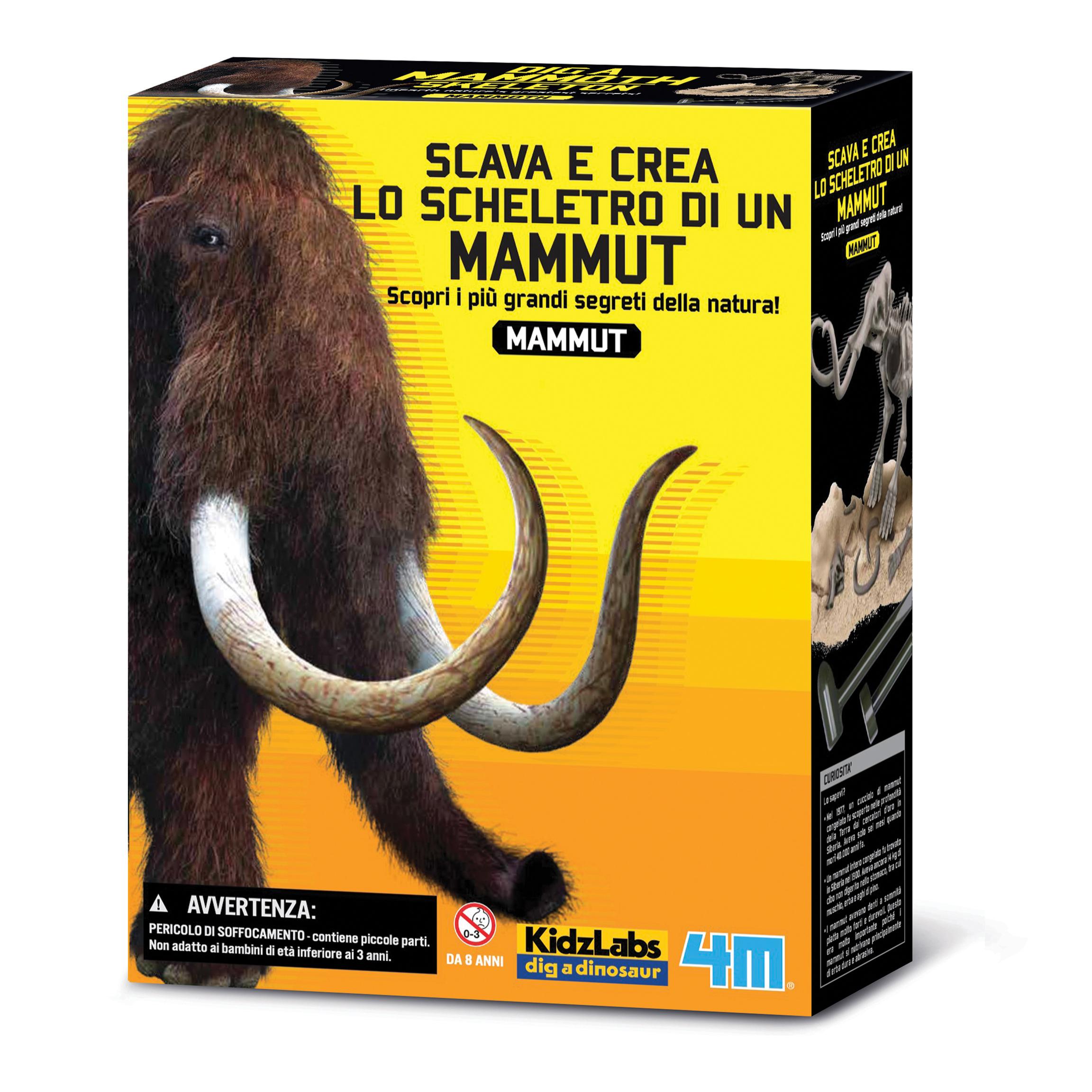 Scava e crea lo scheletro di un Mammut