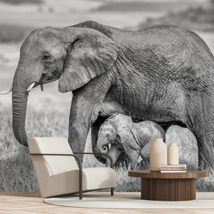 Papier peint éléphant et son petit Intissé