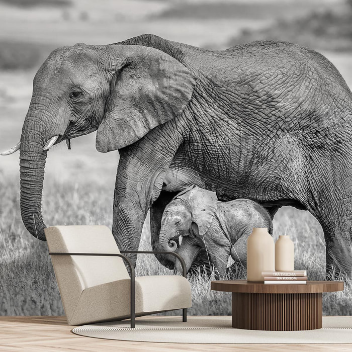 Papier peint éléphant et son petit Intissé