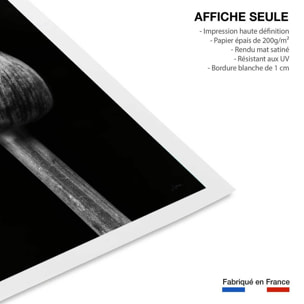 Poster tropical spring palm Affiche seule