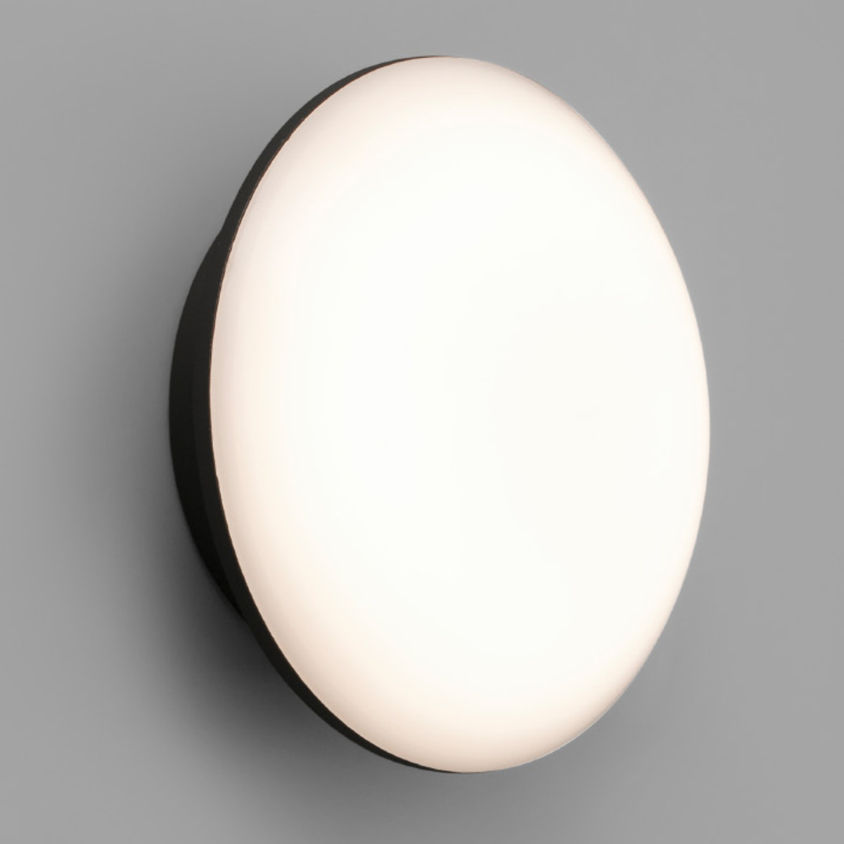 SUN LED Lampe applique/plafond gris foncé
