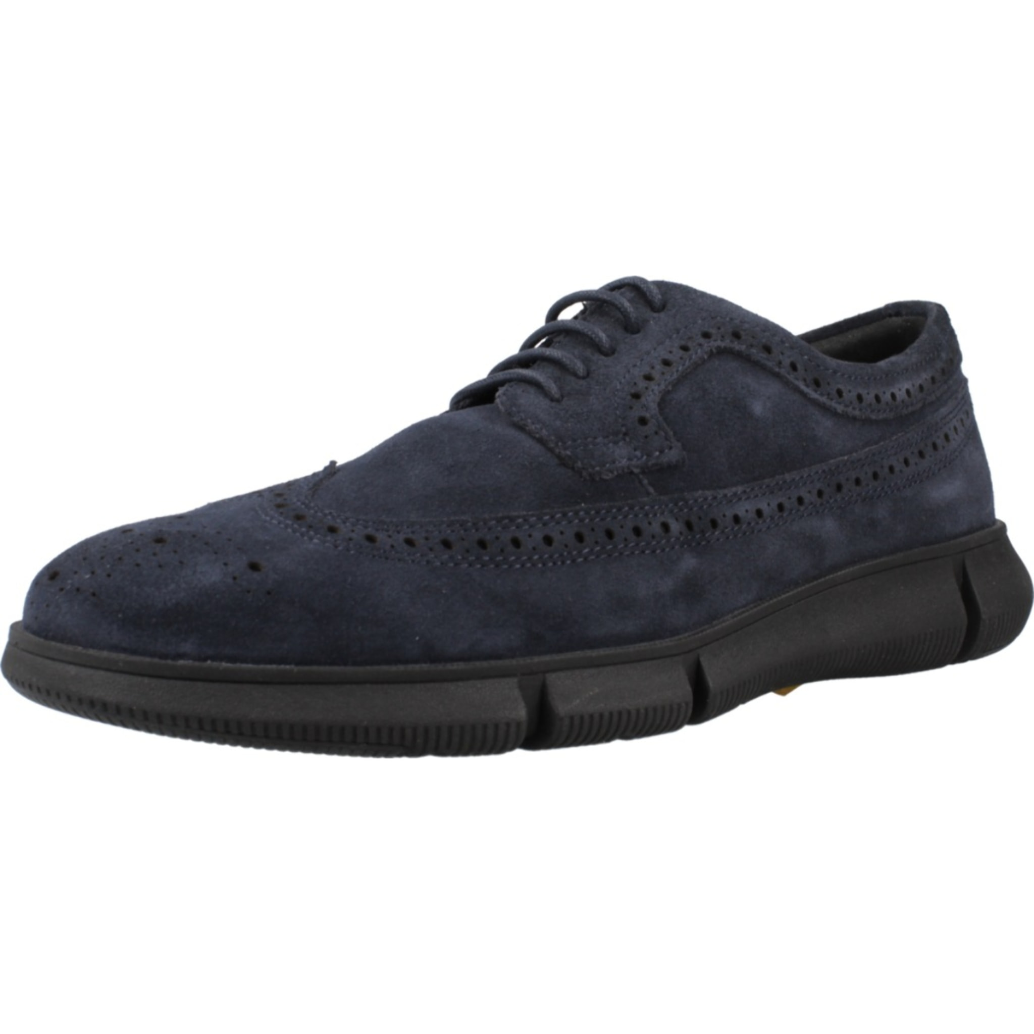 DERBIES - OXFORD GEOX U ADACTER F