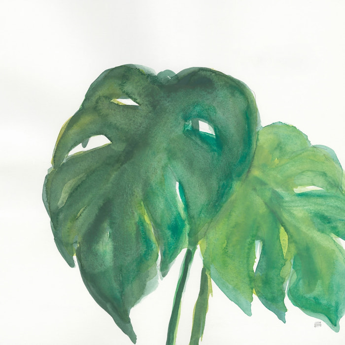 Tableau Plante monstera watercolor Toile imprimée