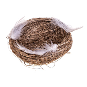 Nido Con Piume - Pezzi 12 - 13xH3x13cm - Bianchi Dino SpA