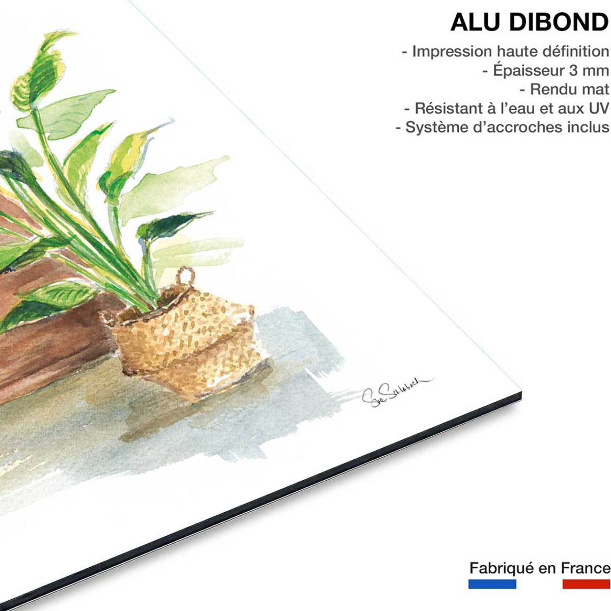 Tableau deco Greenery Bath Tableau alu Dibond