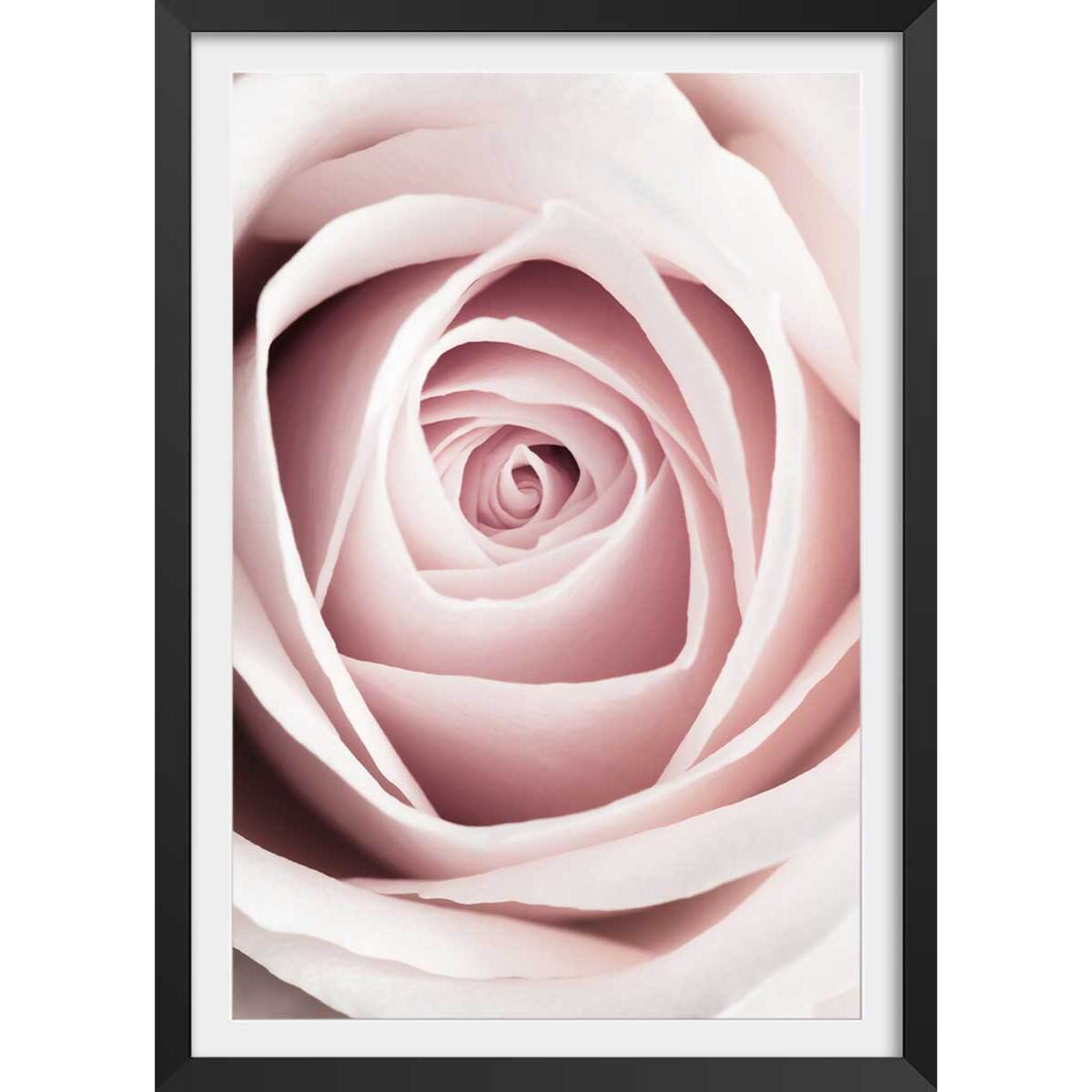 Affiche  coeur de roses Affiche sous cadre noir
